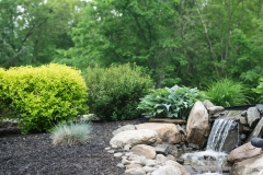 exterior pest control weston ma