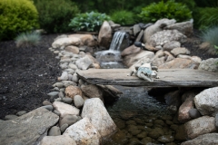 lawn care northborough ma