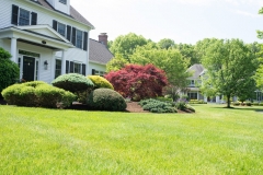lawn care sudbury ma