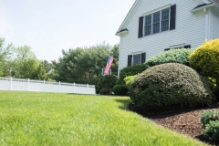 tree & shrub bolton ma
