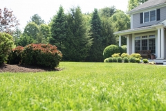 slice seeding sudbury ma