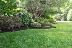 tree & shrub care sudbury ma