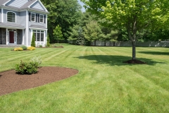 aeration & overseeding weston ma