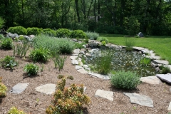 exterior pest control berlin ma